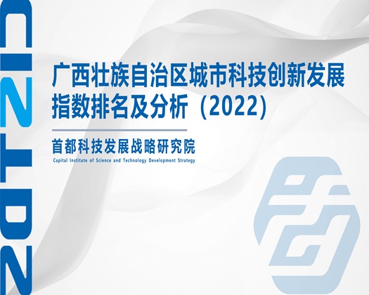 骚货自慰一起草网站免费看【成果发布】广西壮族自治区城市科技创新发展指数排名及分析（2022）